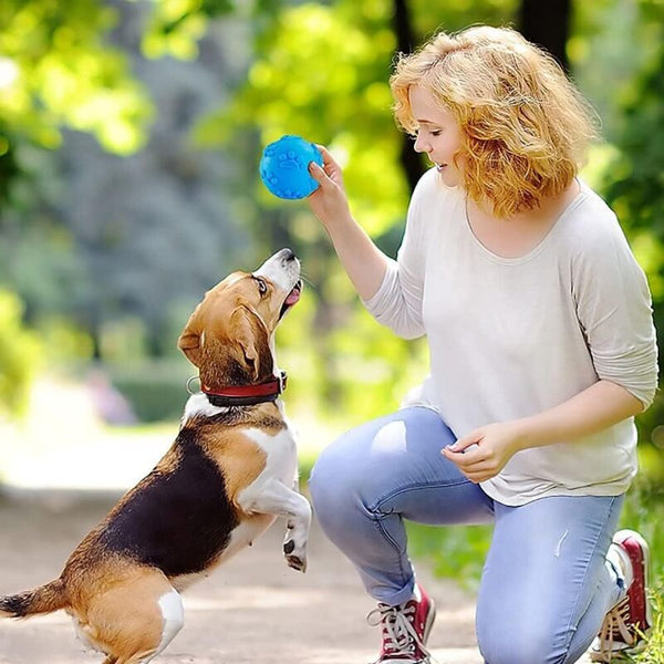Balls Sound Chew Puppy Molar Teeth Cleaning For Small And Medium Dogs Dog Toys
