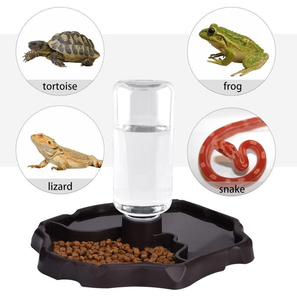 Pet Drinking Fountain 2 In 1 Automatic Anti Splash Turtle Lizard Reptile Small Animal Supplies
