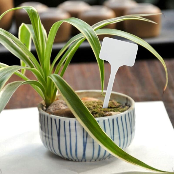 50 Pieces 15.5Cm Outdoor Plant Large Labels Plastic Vegetable Garden White Plant Labels