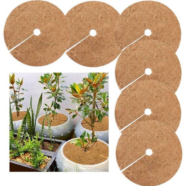 Pieces Mulching Disc Winter Protection For Potted Plants Mat Biodegradable Coconut Other Plant Care & Accessories