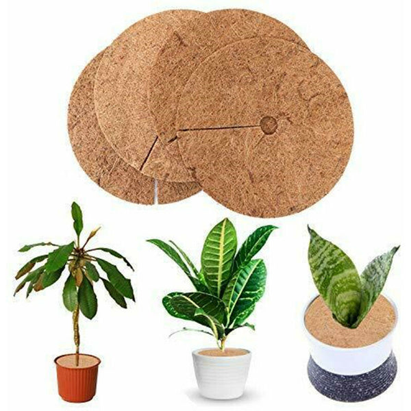 Pieces Mulching Disc Winter Protection For Potted Plants Mat Biodegradable Coconut Other Plant Care & Accessories
