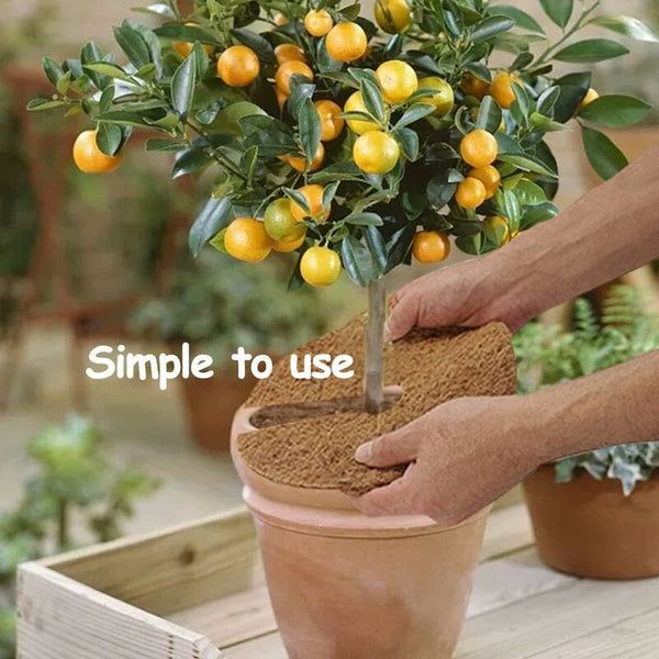 Pieces Mulching Disc Winter Protection For Potted Plants Mat Biodegradable Coconut Other Plant Care & Accessories