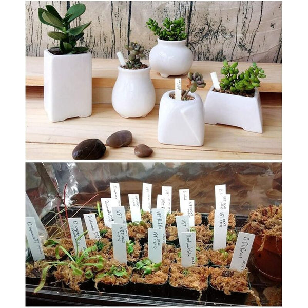 100 Pcs Plastic Plant Label White Garden Tag 10X2cm Plant Labels