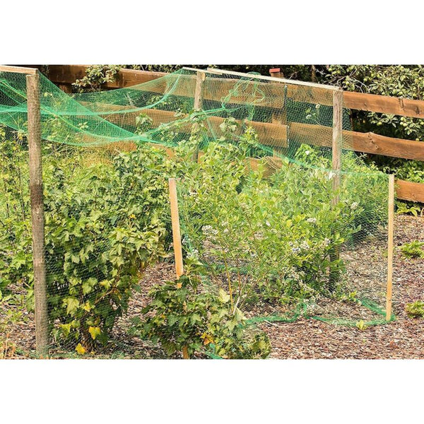 4X10m Bird Protection Netting For Gardens Ponds Fruits Vegetables Other Plant Care & Accessories