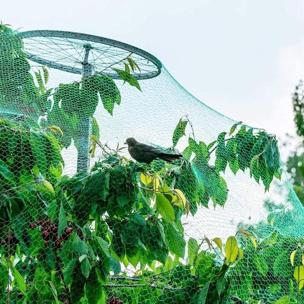 4X10m Bird Protection Netting For Gardens Ponds Fruits Vegetables Other Plant Care & Accessories