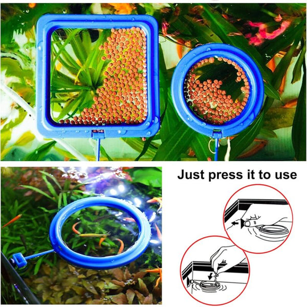 2 Pcs Fish Feeding Rings Aquarium Feeder Food For Guppy Betta Goldfish Blue Fish Feeders