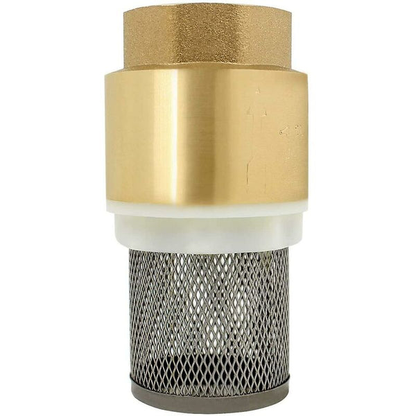 Check Valve 1/2 3/4 1/4 Inch Non Return Pump (3/4 Inch) Other Pump Parts & Accessories