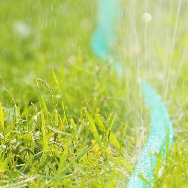 Garden Hose Flat Irrigation Water Lance For Holes Ready To Connect 7.5 Meters Green Hoses