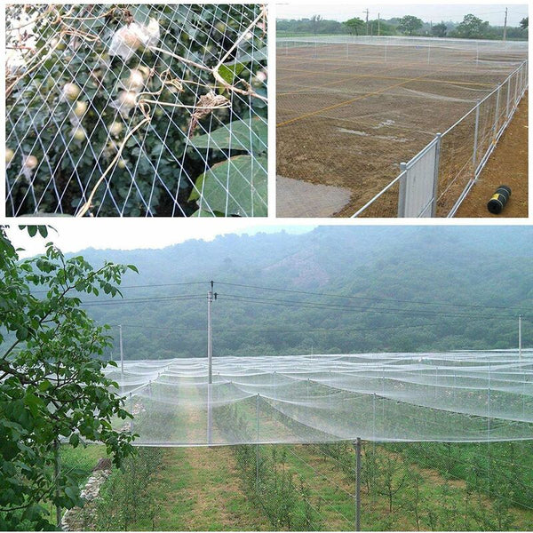 10M X 4M Anti Bird Garden Netting 2.5Cm Mesh Protection For Water Pond Fruits Vegetables And Plants Protective Garden Netting