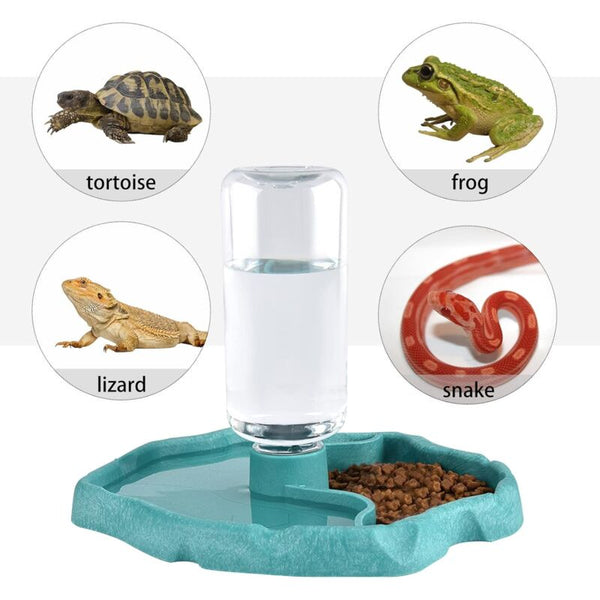 Reptile Water Dispenser 2 In 1 Anti Overflow Food Bowl Plastic For Tortoise Gecko Blue Reptiles