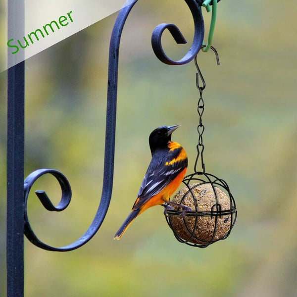 4 Pcs Hanging Metal Fat Ball Holder Indoor Outdoor Black 7Cm Diameter Food Dispenser With S Shaped Bird Feeders