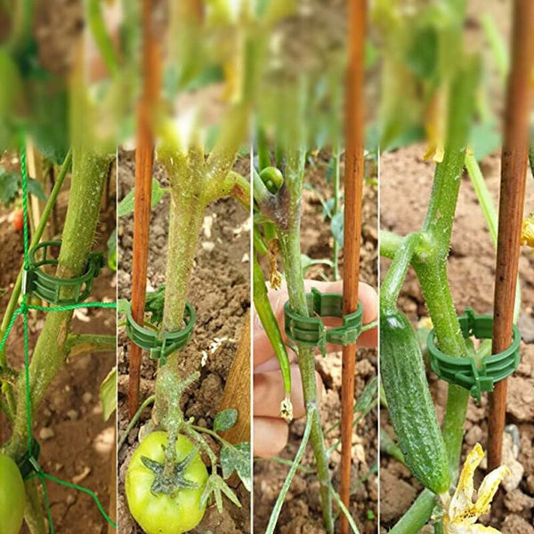 100Pcs Plant Support Clips Tomato Ties Twine Vine Trellis Cages Climbing Plants Vegetables 2.5Cm Plant Ties & Supports