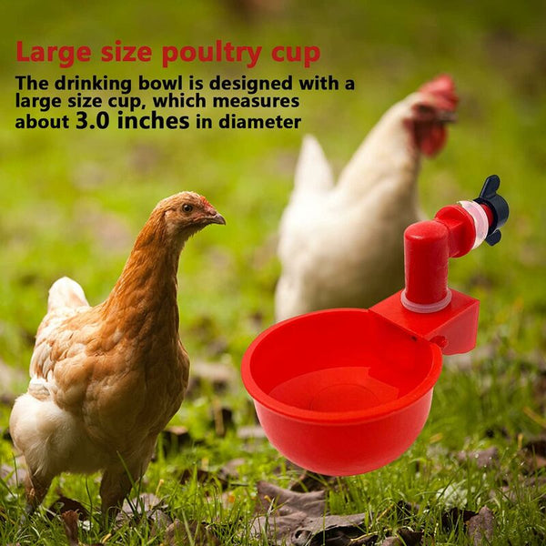 6 Pcs Automatic Chicken Waterer Supplies Bowl Cups Plastic Poultry Dispensers Drinking Small Animal Supplies