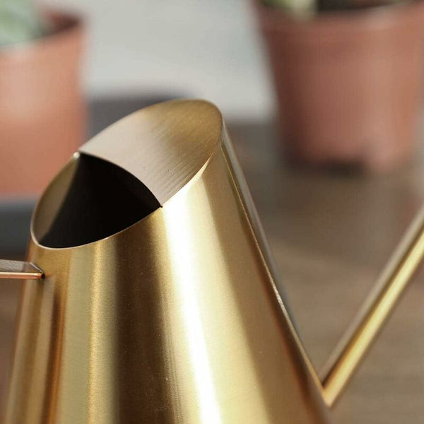 Stainless Steel Watering Can With Long Narrow Nozzle Garden Plants Flower Tool Ideal For Home Balcony Watering Cans & Spray Bottles