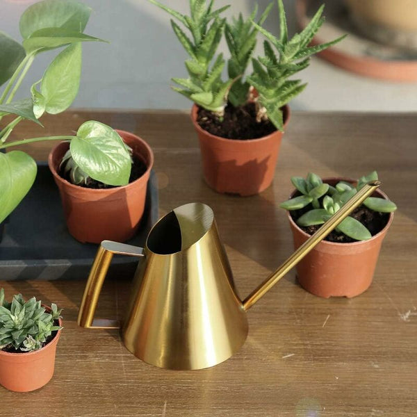 Stainless Steel Watering Can With Long Narrow Nozzle Garden Plants Flower Tool Ideal For Home Balcony Watering Cans & Spray Bottles