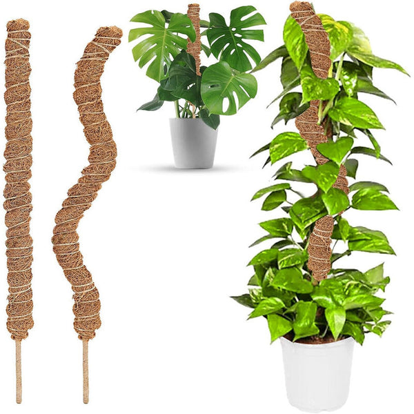 2 Pcs Foldable Plant Stake 60Cm Long Coco Climbing Support For Monstera Lawn Stakes