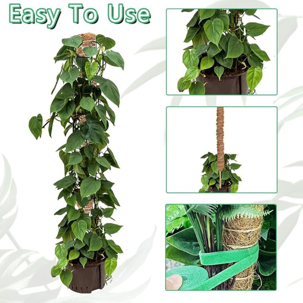 2 Pcs Foldable Plant Stake 60Cm Long Coco Climbing Support For Monstera Lawn Stakes