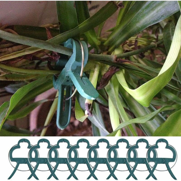 100 Pcs Plant Clips Spring Support For Tomatoes And Vine Vegetables Plant Ties & Supports