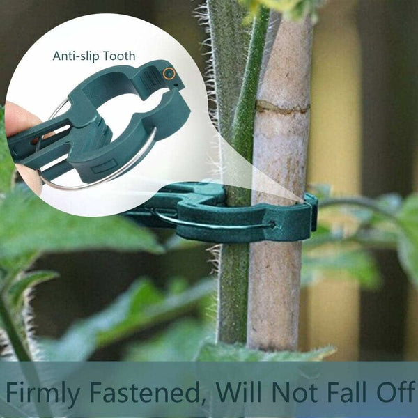 100 Pcs Plant Clips Spring Support For Tomatoes And Vine Vegetables Plant Ties & Supports