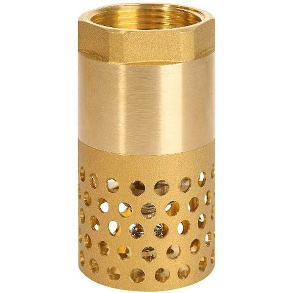 1 Inch Pump Check Valve Foot Strainer (1 Inch) Other Pump Parts & Accessories
