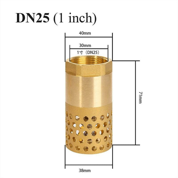 1 Inch Pump Check Valve Foot Strainer (1 Inch) Other Pump Parts & Accessories