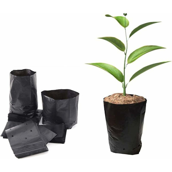 100 Pcs Thickened Plastic Plant Nursery Bags Fruit Flower Seedling Planting Garden Grow With Breathable Other Plant Care & Accessories
