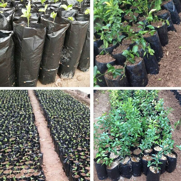 100 Pcs Thickened Plastic Plant Nursery Bags Fruit Flower Seedling Planting Garden Grow With Breathable Other Plant Care & Accessories