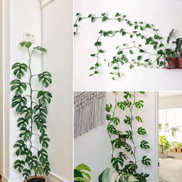 100Pcs Climbing Plant Support Clips Vine Wall Training White Plant Ties & Supports