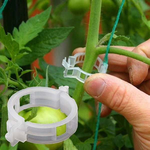 100 Pcs Garden Plant Clips Ties Vine Twine Trellis Vegetable Cages Grafting Tools For Growing Plant Ties & Supports