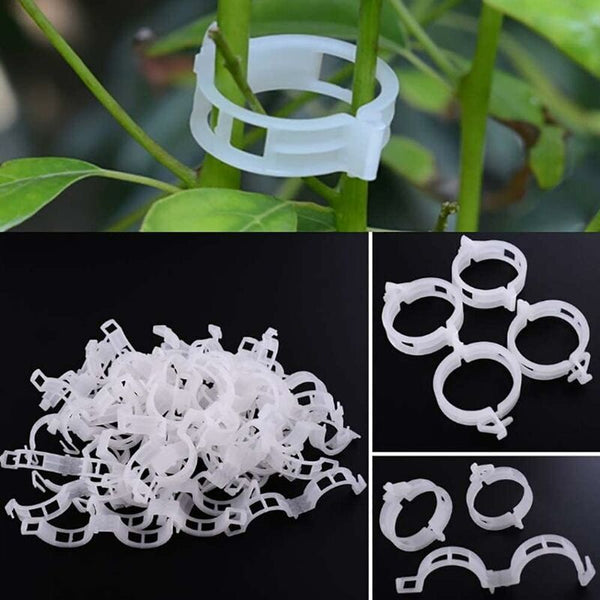 100 Pcs Garden Plant Clips Ties Vine Twine Trellis Vegetable Cages Grafting Tools For Growing Plant Ties & Supports
