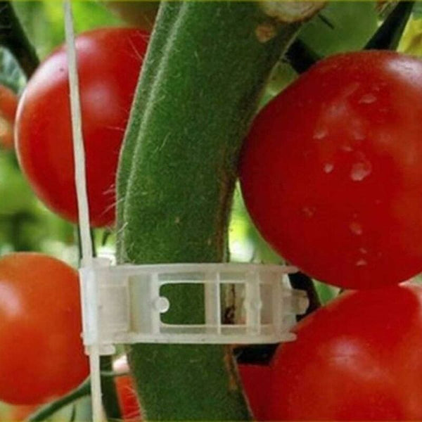 100 Pcs Garden Plant Clips Ties Vine Twine Trellis Vegetable Cages Grafting Tools For Growing Plant Ties & Supports