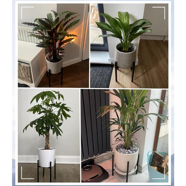 Metal Plant Stand For 20 30Cm Pots Indoor/Outdoor Plant Stands