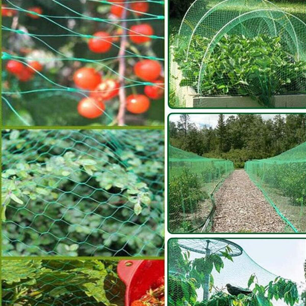 Chicken Netting 2 Pieces Anti Bird 4M X 10M Fruit Tree Protective Small Animal Supplies