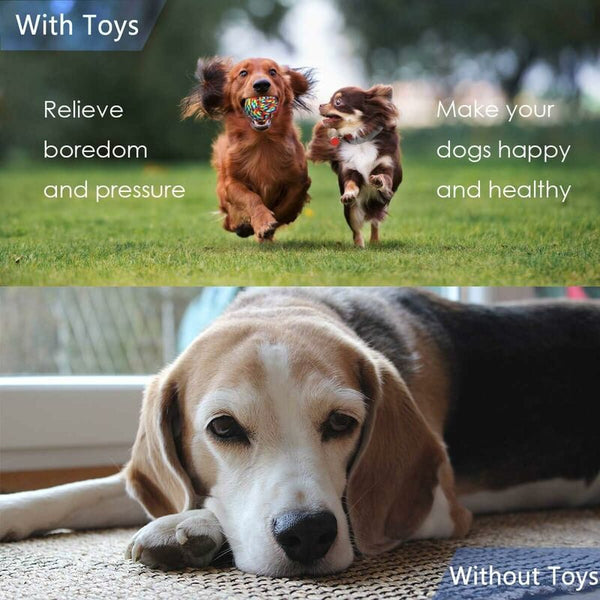 4 Piece Dog Rope Toy Set For Small & Medium Dogs Dental Health Play Dog Toys