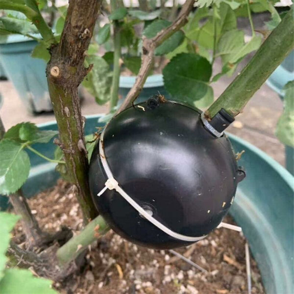 Plant Rooting Ball For Cloning Plants Reusable Grafting Box Other Plant Care & Accessories