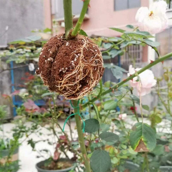 Plant Rooting Ball For Cloning Plants Reusable Grafting Box Other Plant Care & Accessories