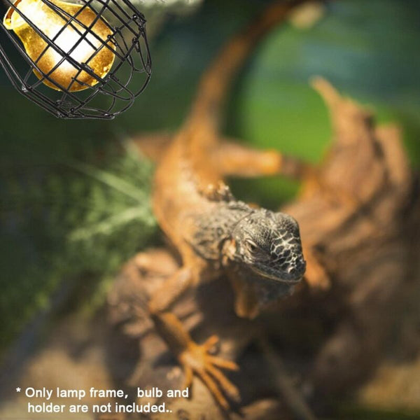 Reptile Heat Lamp Cover Shade Wire Heater Guard Anti Scald Mesh For Terrarium Reptiles