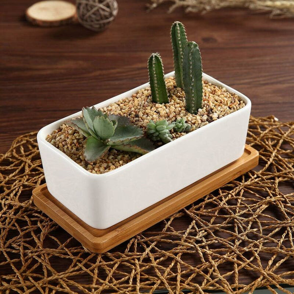 17Cm Ceramic Succulent Pot With Bamboo Tray White 2 Pcs Set Cactus Planter Cache Jardiniare Container Gift For Baskets Pots Window Boxes