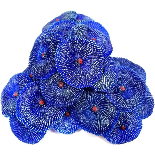 Artificial Coral 4 Pieces Fake Aquarium Decorations Corals For (Coral Blue) Aquariums