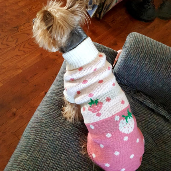 Dog Coat Sweater Classic Turtleneck Knit Warm Winter Clothes Cute Strawberry Heart Pattern Perfect For Small And Medium Dogs Pink Size Xxl Dog Clothin