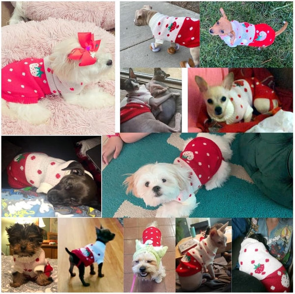 Dog Coat Sweater Classic Turtleneck Knit Warm Winter Clothes Cute Strawberry Heart Pattern Perfect For Small And Medium Dogs Red Size Dog Clothing & S