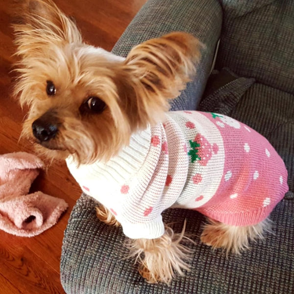 Dog Coat Sweater Pullover Classic Turtleneck Knit Warm Winter Clothes Cute Strawberry Heart Pattern Perfect For Small And Medium Dogs Pink Size Dog Cl