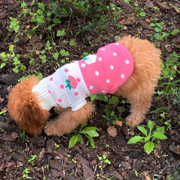 Dog Coat Sweater Pullover Classic Turtleneck Knit Warm Winter Clothes Cute Strawberry Heart Pattern Perfect For Small And Medium Dogs Pink Size Dog Cl