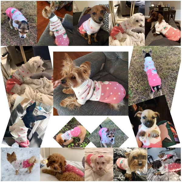 Dog Coat Sweater Classic Turtleneck Knit Warm Winter Clothes Cute Strawberry Heart Pattern Perfect For Small And Medium Dogs Pink Size Xl Dog Clothing
