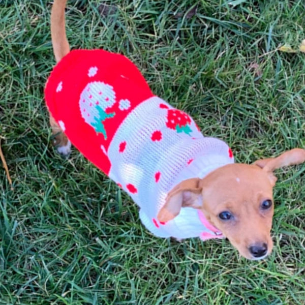Dog Coat Sweater Classic Turtleneck Knit Warm Winter Clothes Cute Strawberry Heart Pattern Perfect For Small And Medium Dogs Red Size Xl Dog Clothing
