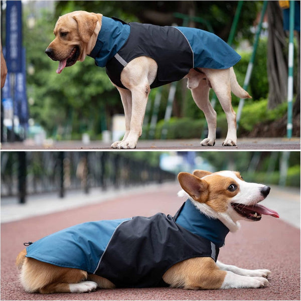 Waterproof Dog Winter Jacket With Reflective Strips Blue/Black Size Dog Clothing & Shoes