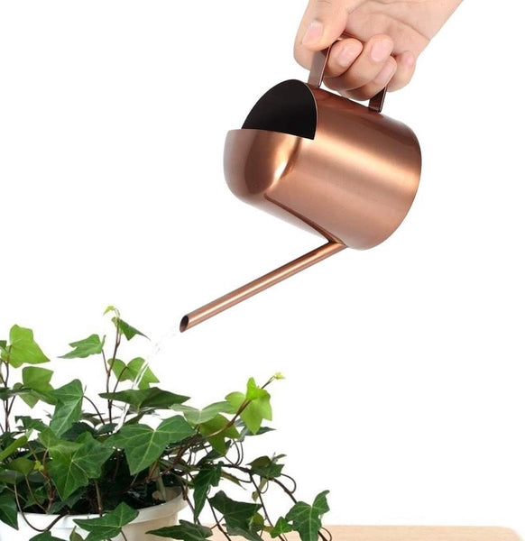 300Ml Stainless Steel Watering Can With Long Spout For Indoor/Outdoor Plants Watering Cans & Spray Bottles