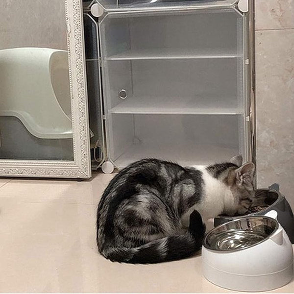 2 Pieces Food Bowls For Cats Dog Black White 200 Ml Drinking Dogs And Stainless Steel With Head Shape Dog Bowls