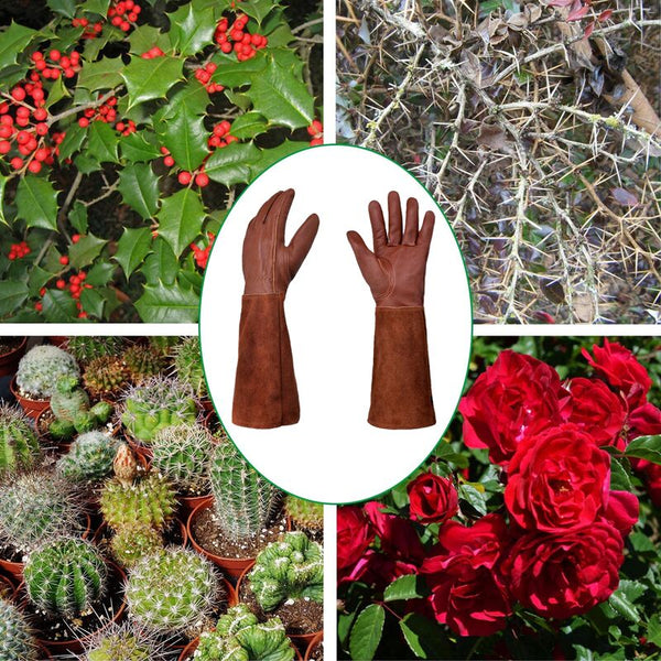 Thorn Proof Gardening Gloves Long Rose Pruning For Women Gardening Gloves & Knee Pads