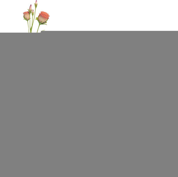 Oasis Floral Foam Block Wet And Dry For Artificial Flower Arrangements Wedding Accessories Party Decorations